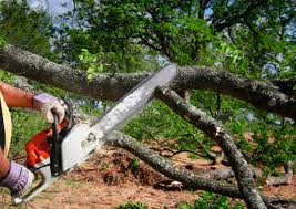  Yukon, OK Tree Services Pros