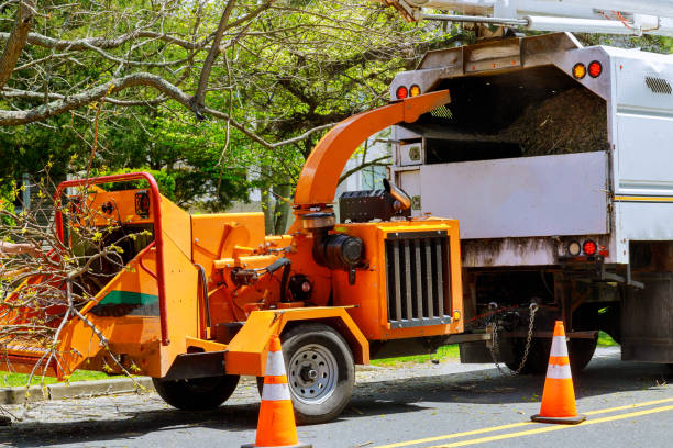 Best Firewood Processing and Delivery  in Yukon, OK